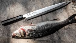 Couteau à viande, KK Yanagiba extra long