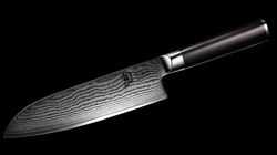 Coltelli, Santoku