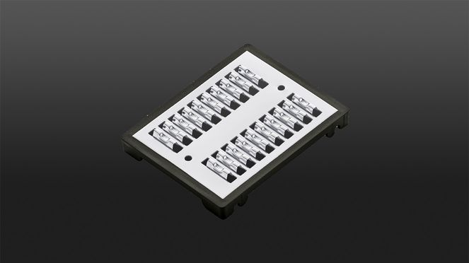 
                    Râpe à julienne équipée de trois inserts interchangeables: celui-ci est pour des lamelles de 2,5 x 2,5 mm