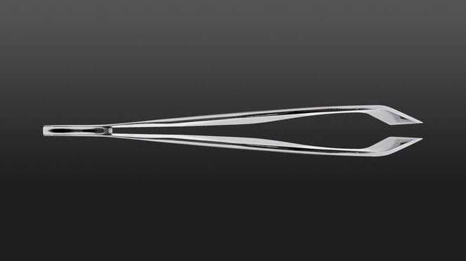 
                    fishbone tweezers made from brushed stainless steel