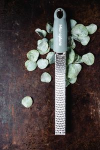 Microplane_Premium_Classic_46727_Zester_Eucalyptus Green_Eucalyptus (3).jpg