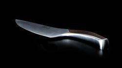 Meat knife, Synchros Chef's knife